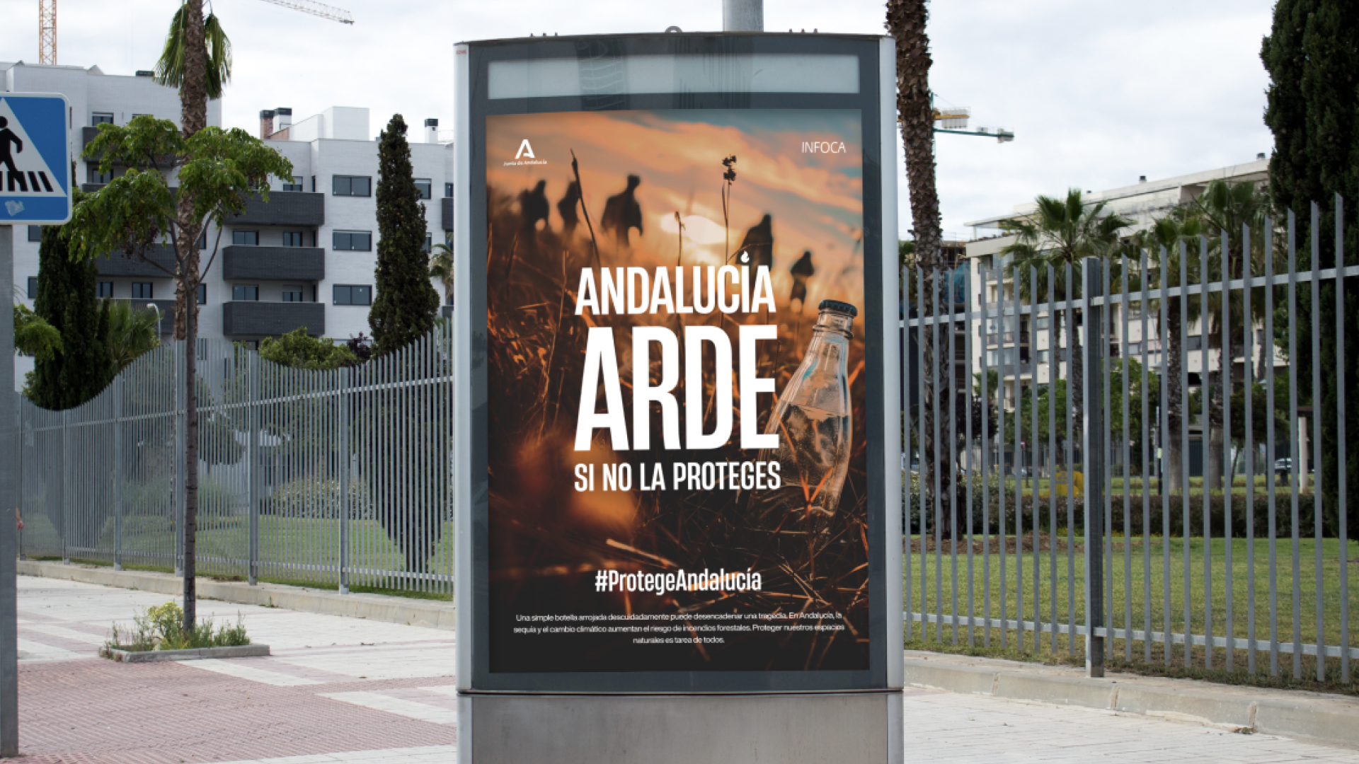 Proyecto 4
